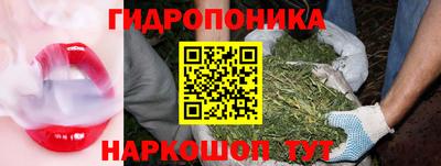 марки nbome Кингисепп