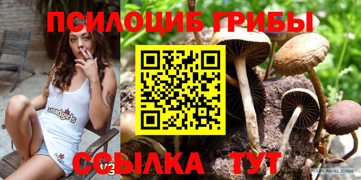 Галлюциногенные грибы Psilocybe  Вход с VPN  Армавир 
